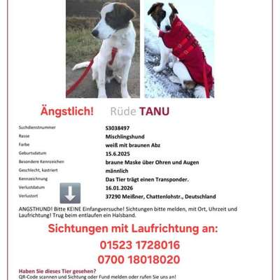 Suchmeldung-Tanu-Bild