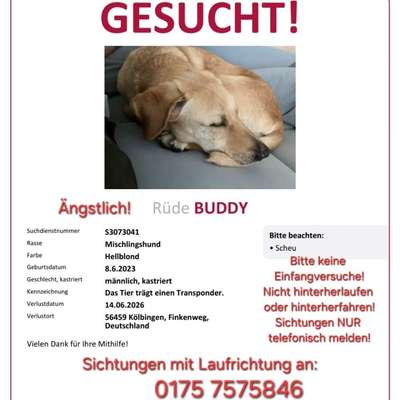 Suchmeldung-Buddy-Bild