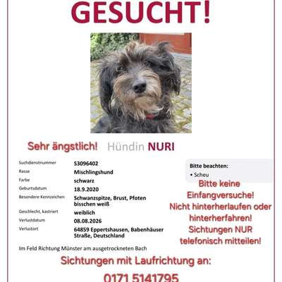 Suchmeldung-Nury-Bild