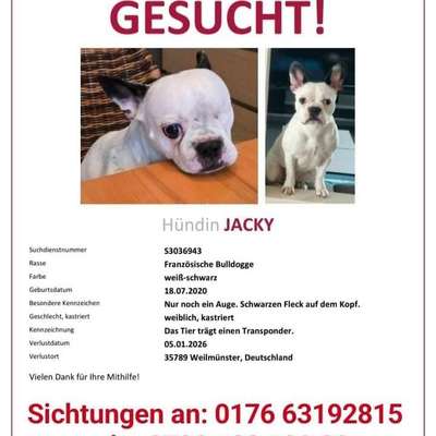 Suchmeldung-Jacky-Bild
