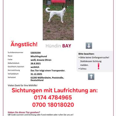 Suchmeldung-Bay-Bild