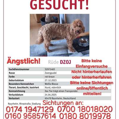 Suchmeldung-Dzoj-Bild