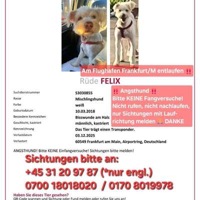 Suchmeldung-Felix-Bild