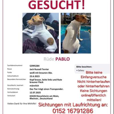 Suchmeldung-Pablo-Bild