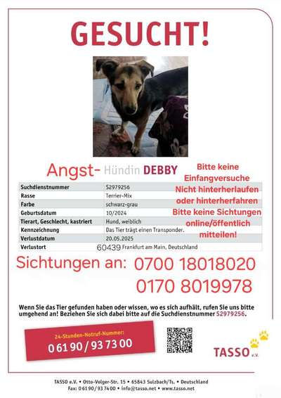 Suchmeldung-Debbie-Bild