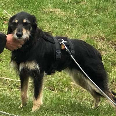 Suchmeldung-Gaia-Bild