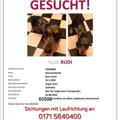 Suchmeldung-Rudi-Bild