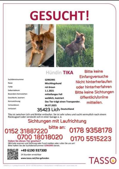 Suchmeldung-Tika-Bild