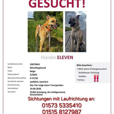 Suchmeldung-Eleven-Bild