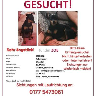 Suchmeldung-Zoe-Bild