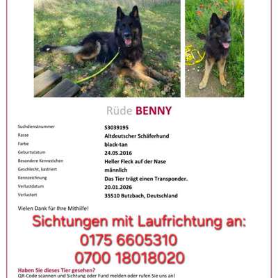 Suchmeldung-Benny-Bild