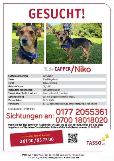 Suchmeldung-Niko (Vorher Capper)-Bild