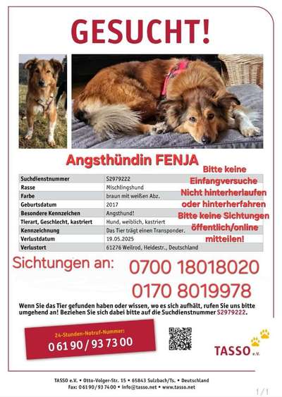 Suchmeldung-Fenja-Bild