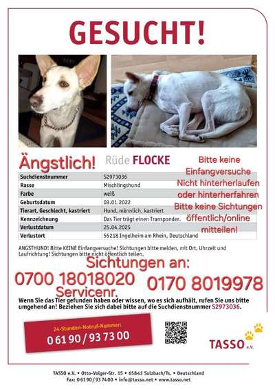 Suchmeldung-Flocke-Bild