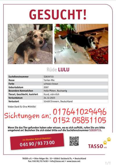 Suchmeldung-Lulu-Bild