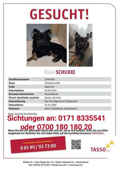 Suchmeldung-Schuxxi-Bild