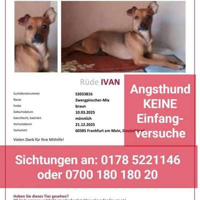 Suchmeldung-Ivan-Bild