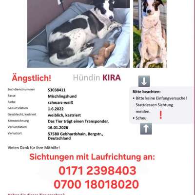 Suchmeldung-Kira-Bild