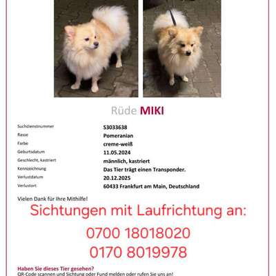 Suchmeldung-Miki-Bild