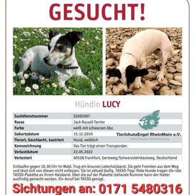 Suchmeldung-Lucy-Bild