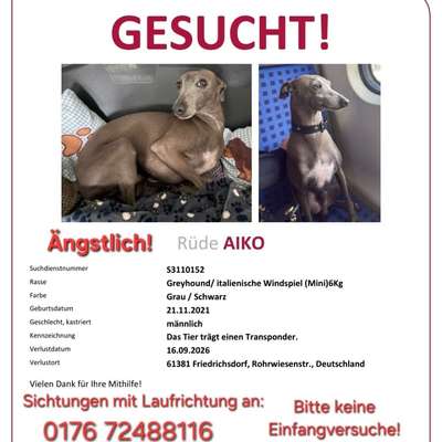 Suchmeldung-Aiko-Bild