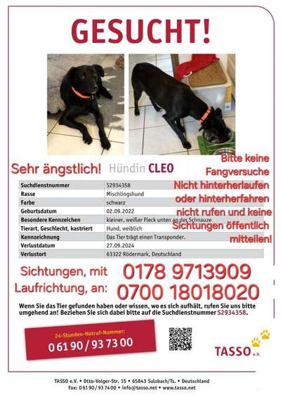 Suchmeldung-Cleo-Bild