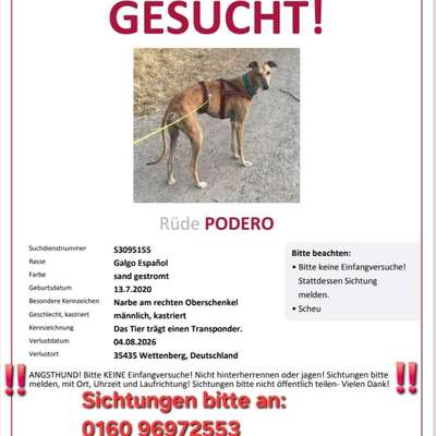 Suchmeldung-Podero-Bild