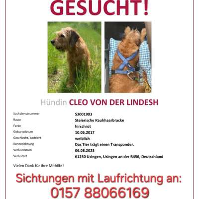 Suchmeldung-Cleo-Bild