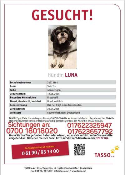 Suchmeldung-Luna-Bild