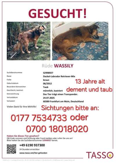 Suchmeldung-Vassily-Bild