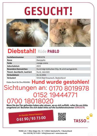 Suchmeldung-Pablo-Bild
