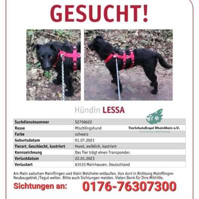 Suchmeldung-Lessa-Bild