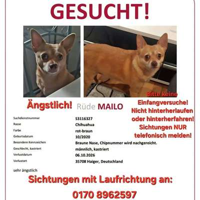 Suchmeldung-Mailo-Bild