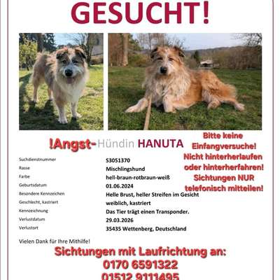 Suchmeldung-Hanuta-Bild