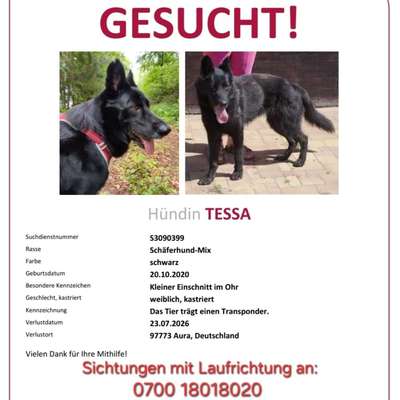 Suchmeldung-Tessa-Bild