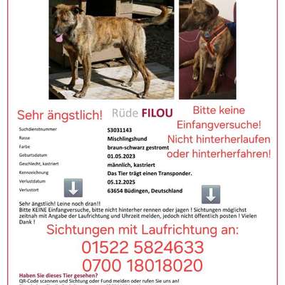 Suchmeldung-Filou-Bild