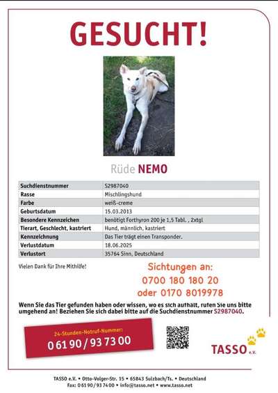 Suchmeldung-Nemo-Bild
