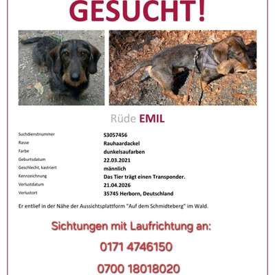 Suchmeldung-Emil-Bild