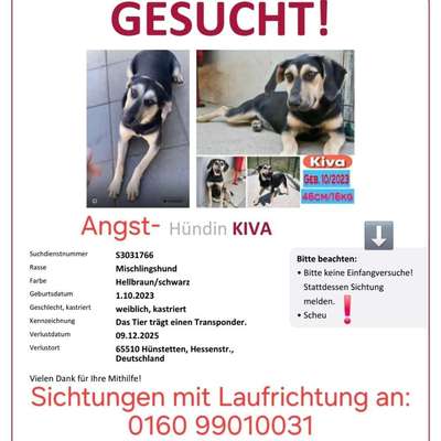 Suchmeldung-Kiva-Bild