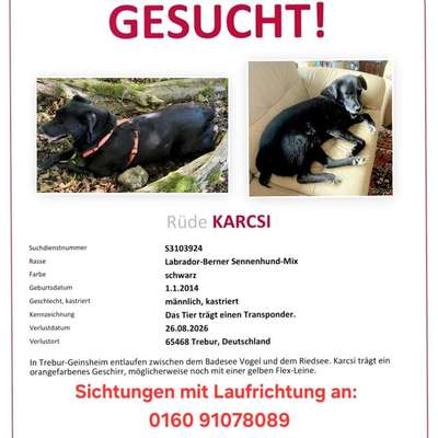 Suchmeldung-Karsy-Bild