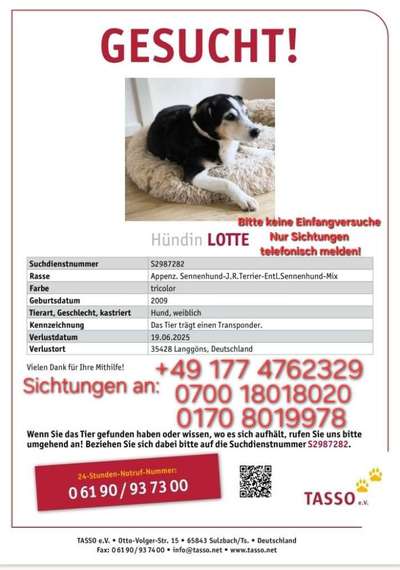 Suchmeldung-Lotte-Bild