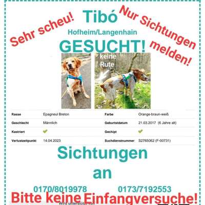 Suchmeldung-Tibó-Bild