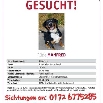 Suchmeldung-Manfred-Bild