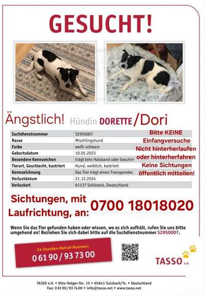 Suchmeldung-Dori (Dorette)-Bild