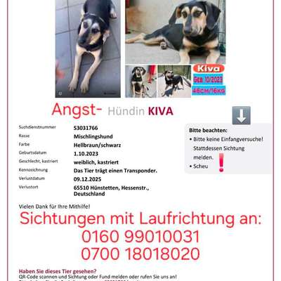 Suchmeldung-Kiva-Bild