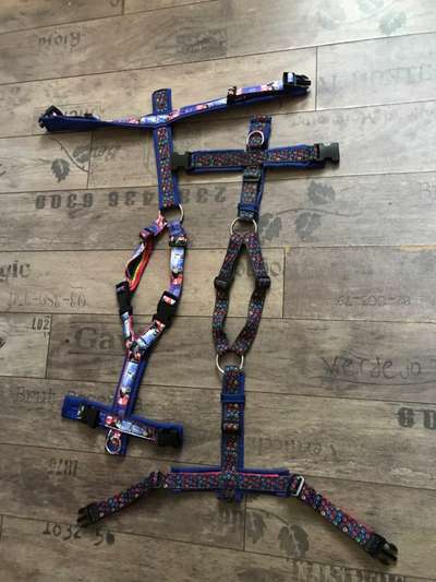 Nähen für Hunde-Beitrag-Bild