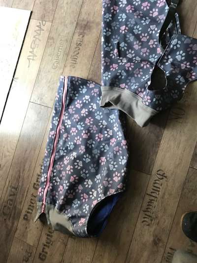 Nähen für Hunde-Beitrag-Bild