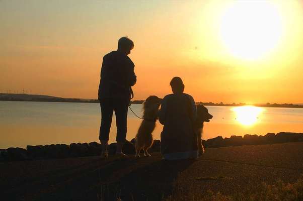 25. Farben Fotochallenge ,,Bernstein"-Beitrag-Bild