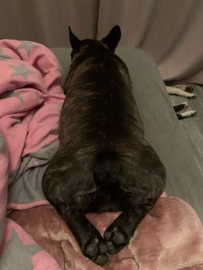 Lässige Pose-Beitrag-Bild