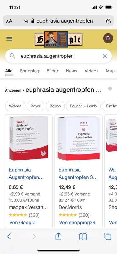 Miniatur Bull Terrier-Beitrag-Bild